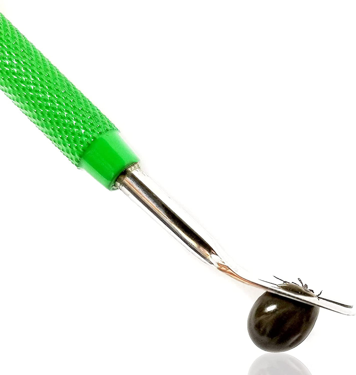 HOKIN Tick Clip, Tick Hooks, Tick Traps, Tick Traps for Dogs and Cats ...